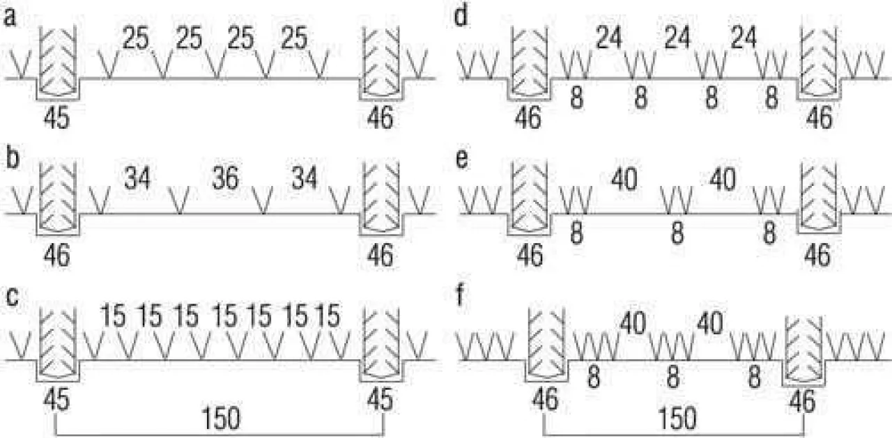 Schemat pasowo-rzędowej uprawy cebuli przy pasach szerokości 150 cm