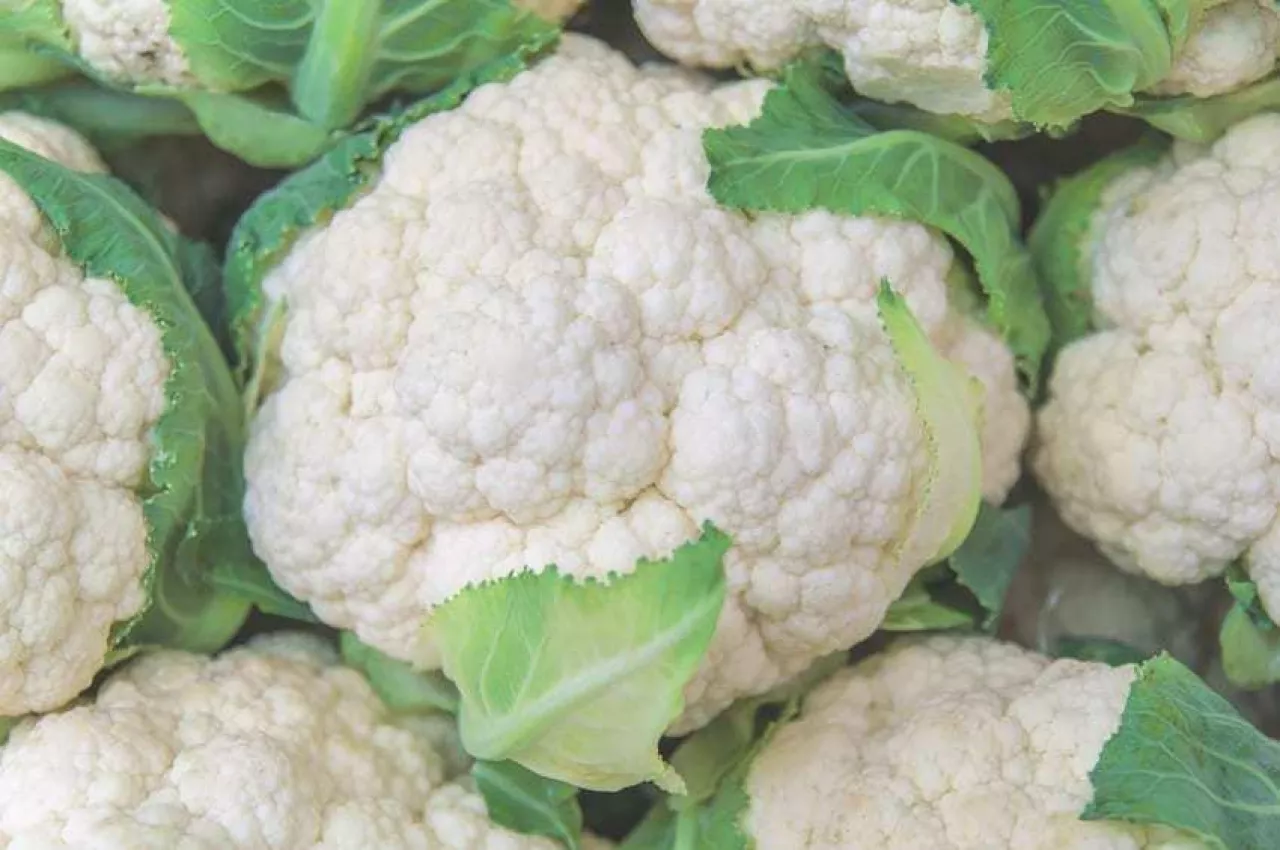 Fresh healthy cauliflower green and white organic vegetable
