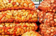 Fresh vegetables on wholesale market