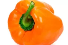 orange pepper on a white background