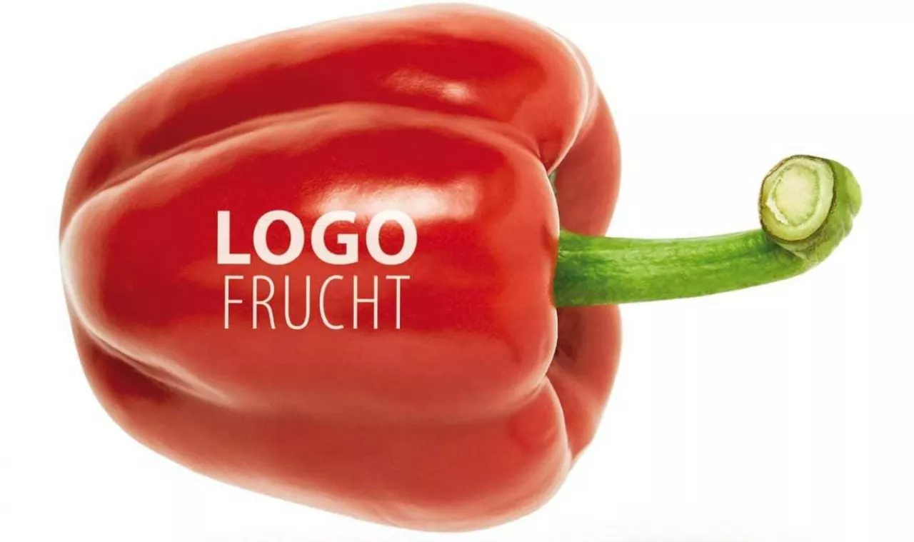 Bell pepper is red colors on a white background. clipping path.