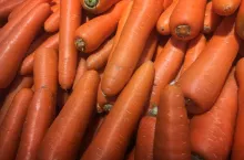 close up a group of Organic carrot. Food background.fresh carrot at the market store