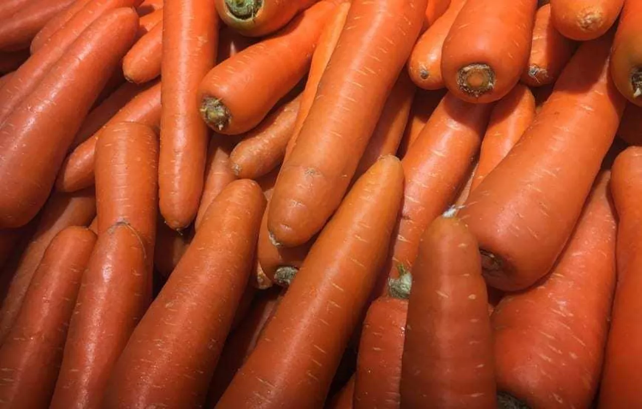 close up a group of Organic carrot. Food background.fresh carrot at the market store