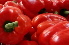 Czerwona papryka