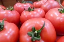 Import eksport pomidorów na Ukrainie