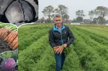 Bejo Zaden – Katalog odmian warzyw 2019-2020