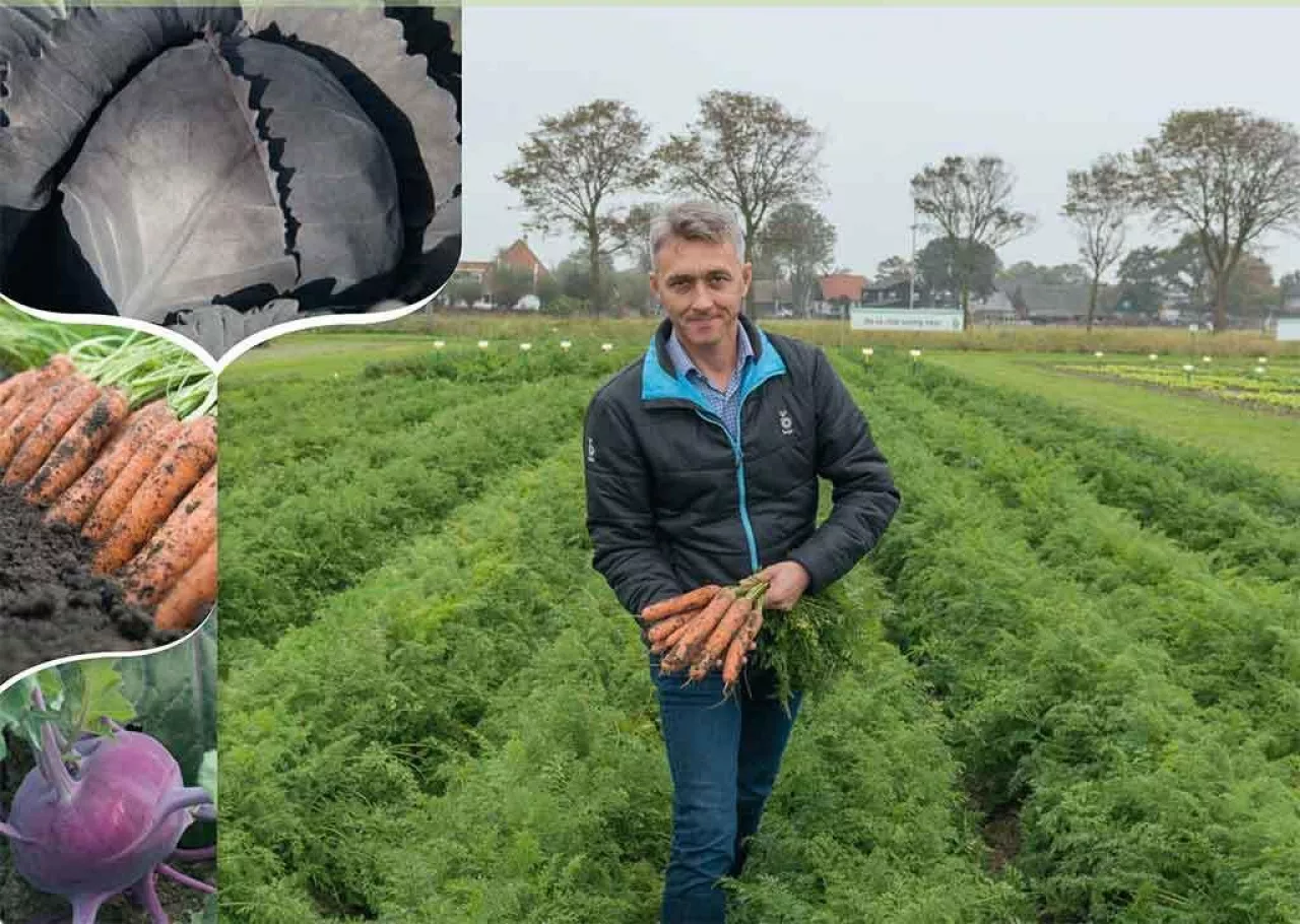 Bejo Zaden – Katalog odmian warzyw 2019-2020