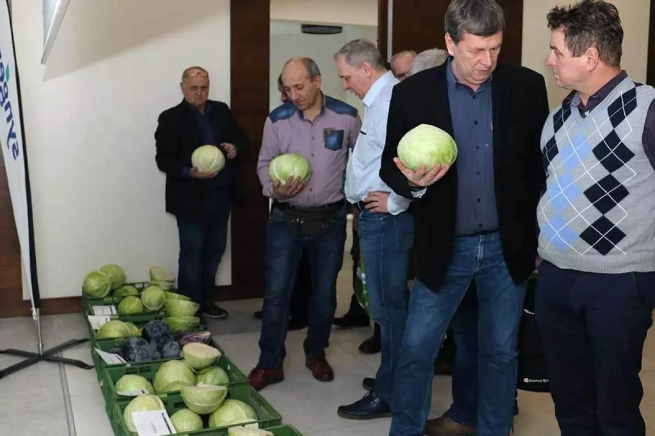 Podczas kapuścianego spotkania można było obejrzeć odmiany