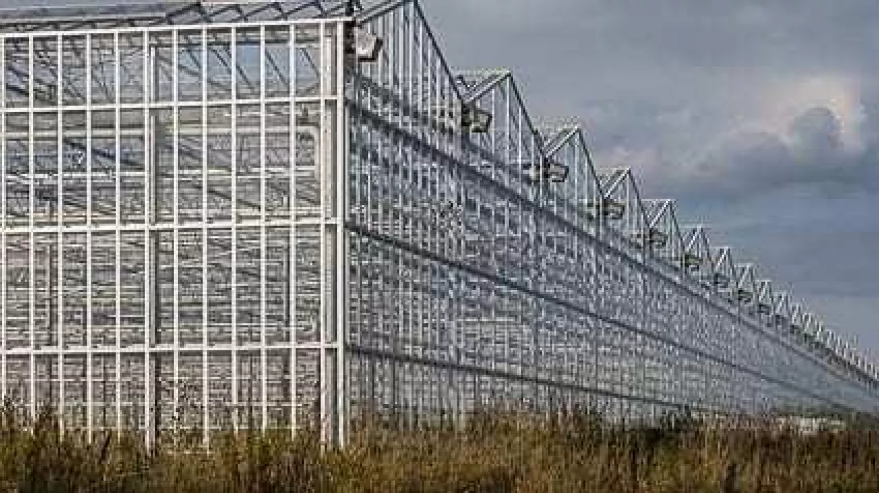 Warzywa pod osłonami w Rosji