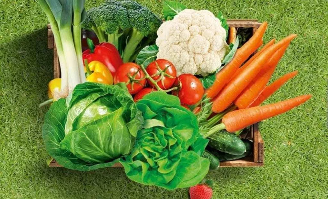 BASF: Dagonis ochrona warzyw