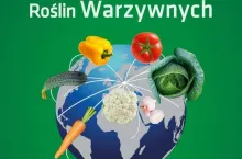 Program Ochrony Roślin Warzywnych 2019