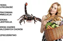 Scorpion 325 SC ochrona warzyw - Syngenta