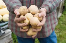 Dołącz do naszej akcji i przetestuj Zorvec za darmo!