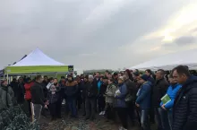 Dzień pora Enza Zaden