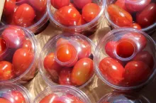 POMIDORY KOKTAJLOWE