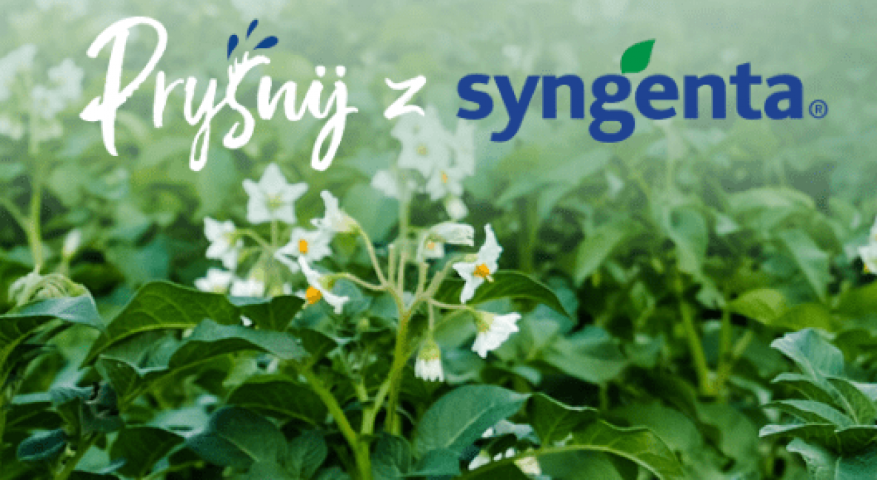 syngenta pryśnij ziemniak