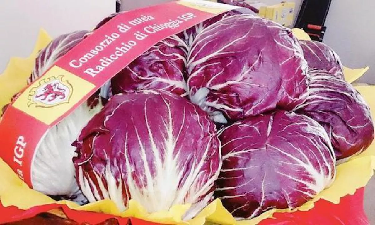 radicchio