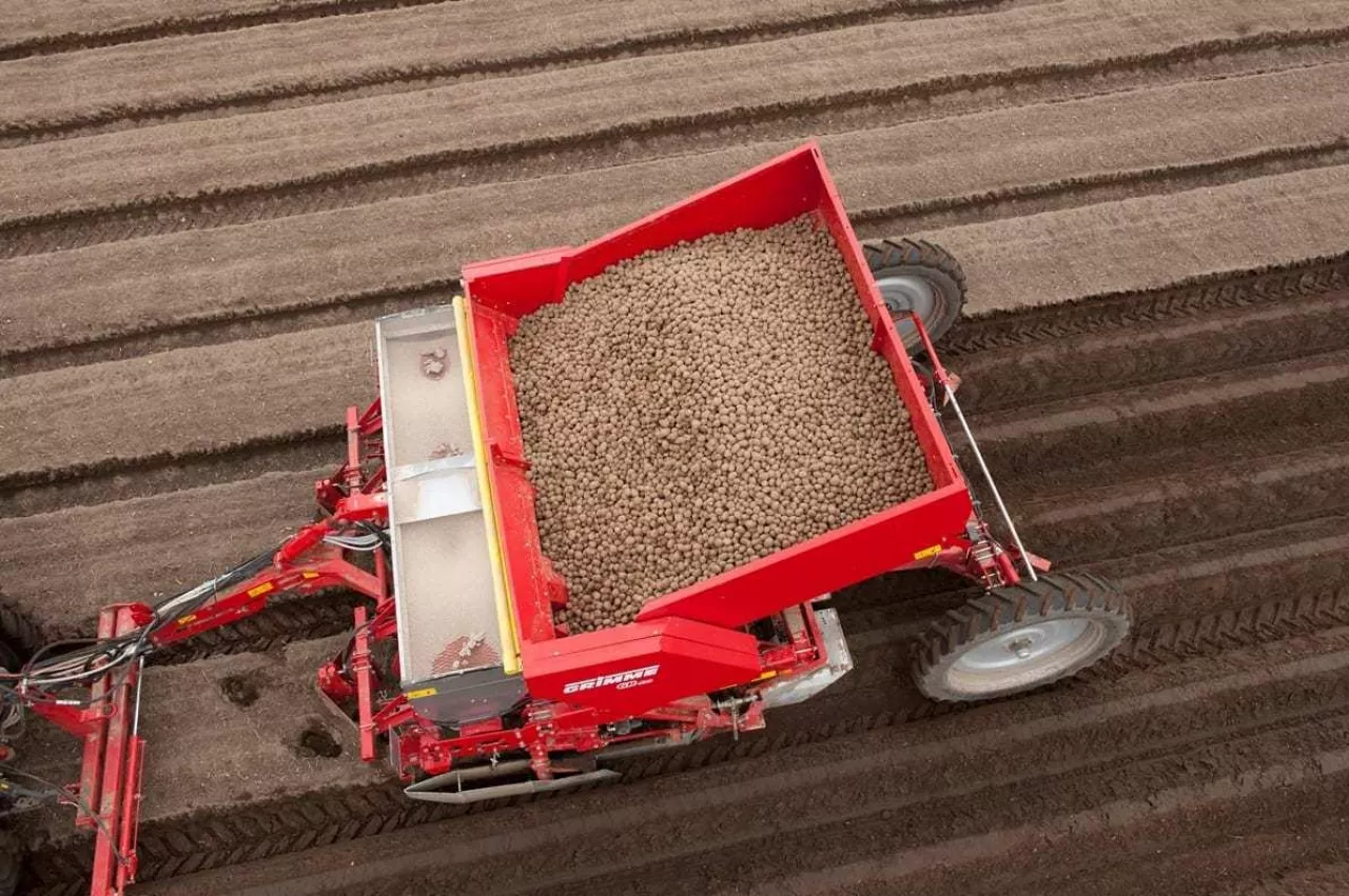 sadzarka do ziemniaków