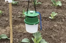 pułapka na szkodniki