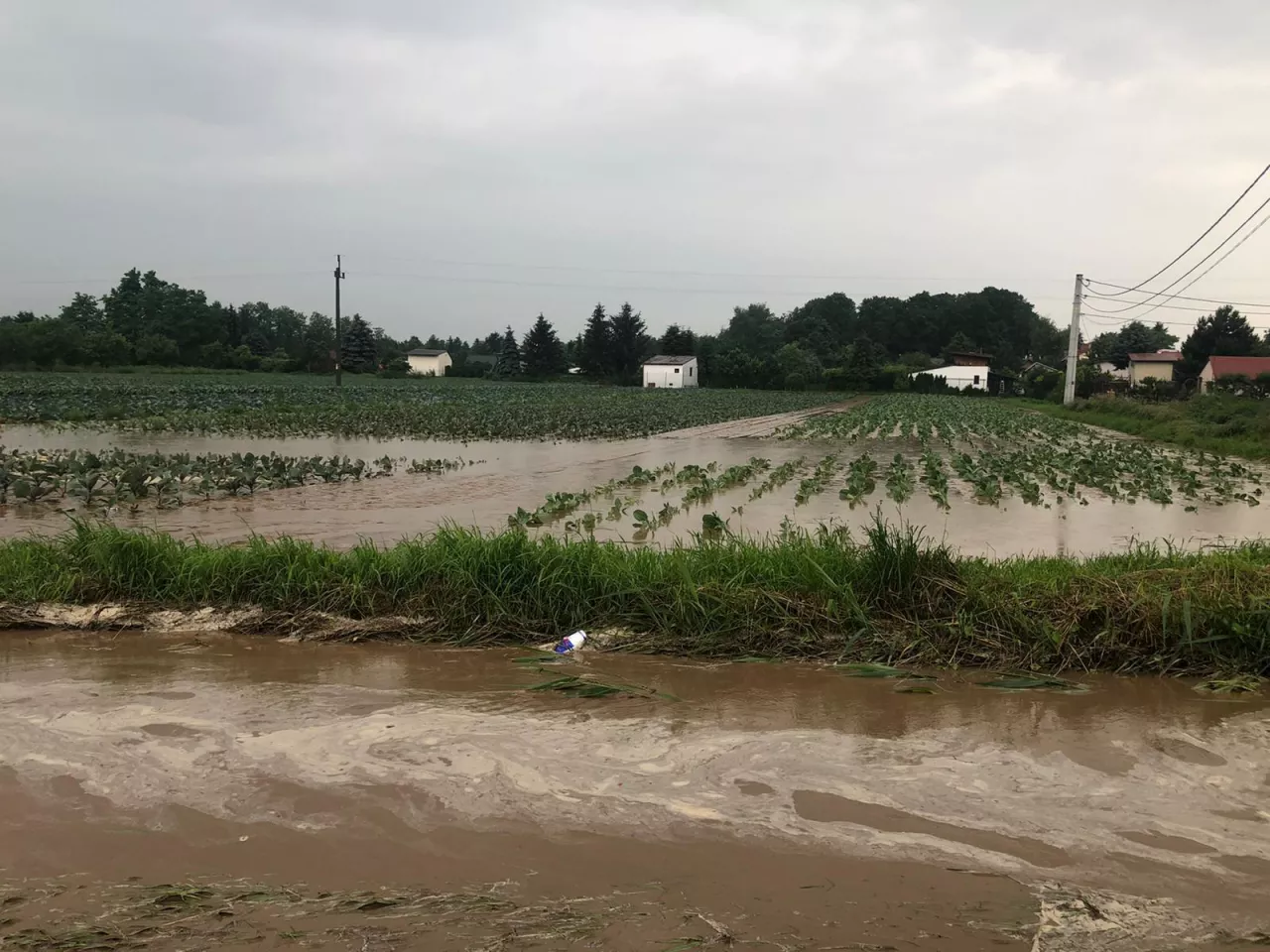 Podtopienia pól uprawnych w 2020 roku