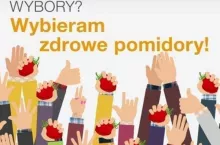 Wybieram zdrowie pomidory