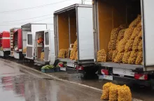 Rybitwy ceny warzyw lipiec 2020