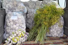 ceny-warzyw-Rybitwy-lipiec-2020