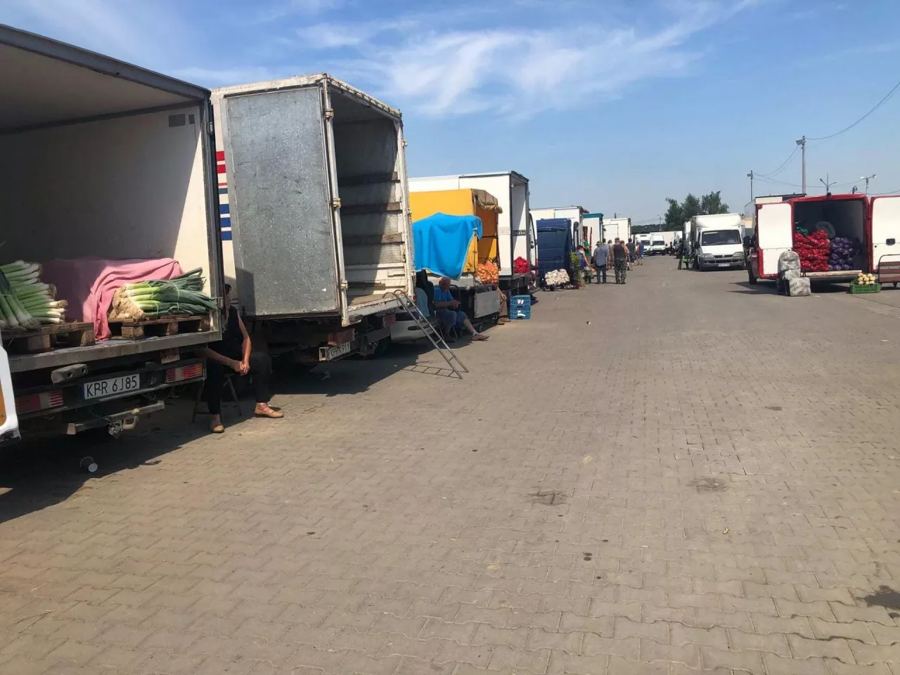 Ceny warzyw Rybitwy - sierpnień 2020