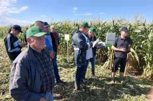 Piknik z Kukurydzą cukrową - Syngenta PROCAM