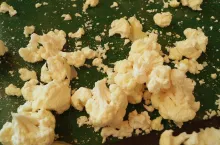 Różyczkowanie kalafiora na przemysł