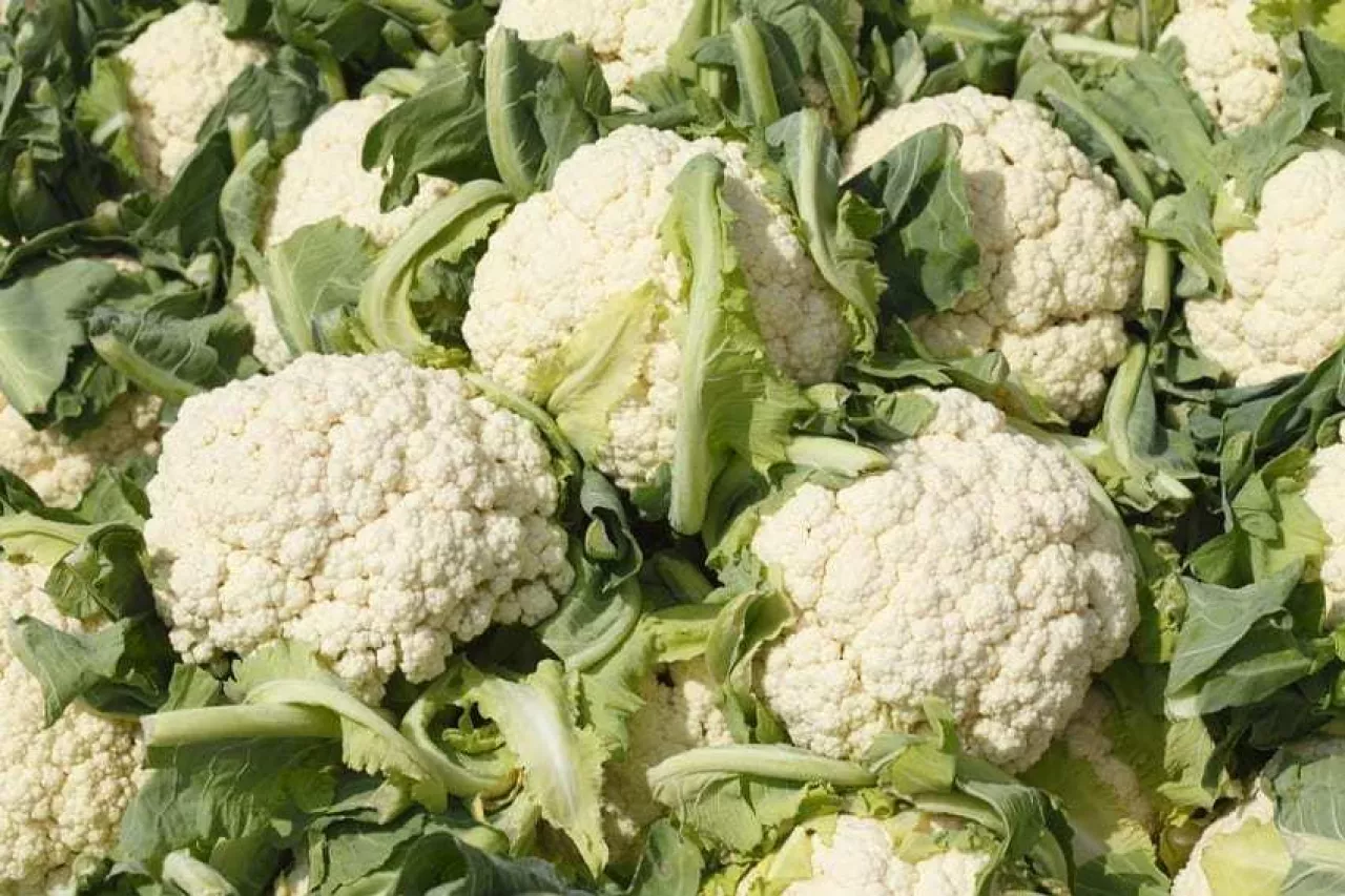 Blumenkohl auf einem Marktstand, Bremen, Deutschland
