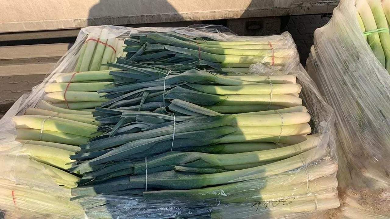 Sprzedaż porów na Rybitwach