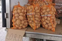 Ziemniaki-na-rynku-Bronisze