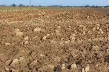 Analiza gleby przed rozpoczęciem produkcji warzywniczej