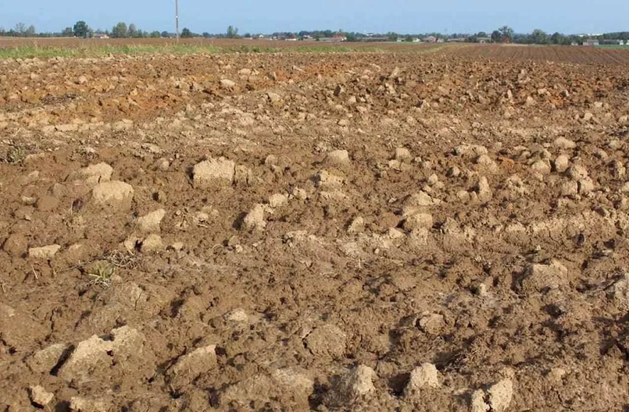 Analiza gleby przed rozpoczęciem produkcji warzywniczej