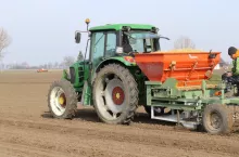 Przed sadzeniem trzeba obliczyć ilość dymki na hektar