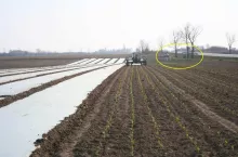 Utrzymanie zjazdów z dróg publicznych obowiązkiem właściciela nieruchomości lub użytkownikiem gruntów przyległych do drogi