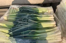 Sprzedaż porów na Rybitwach