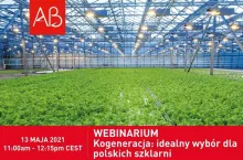 Webinarium kogeneracja AB