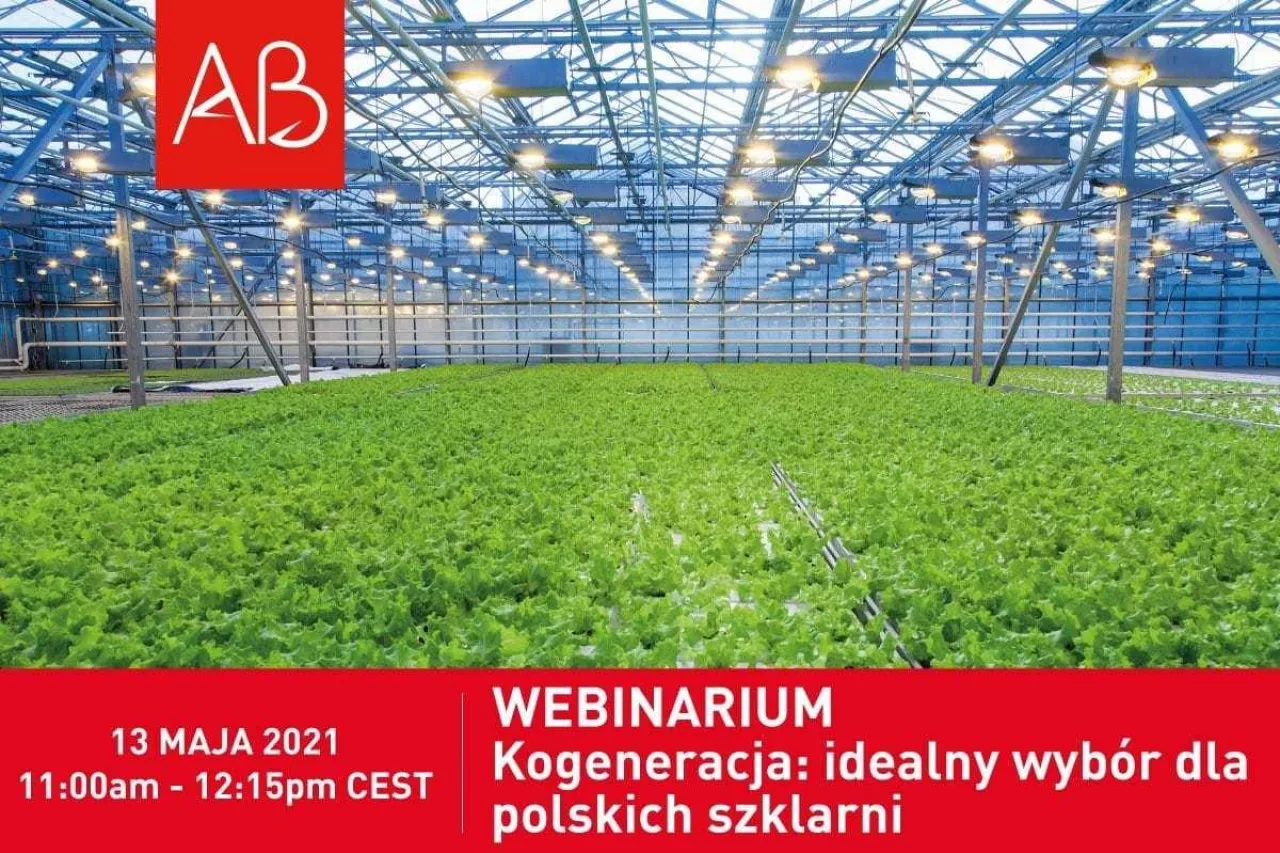 Webinarium kogeneracja AB