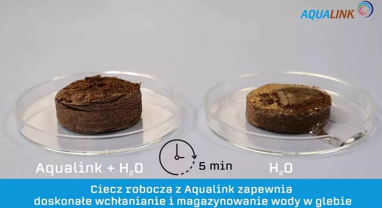 Wchłanianie i magazynowane wody