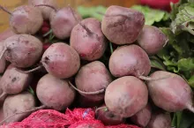 Buraczek czerwony - Brokuł - Rybitwy - lipiec 2020