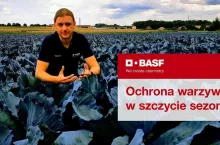 Ochrona warzyw w szczycie sezonu