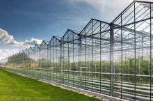 large glass greenhouse for growing tomatoes background sky