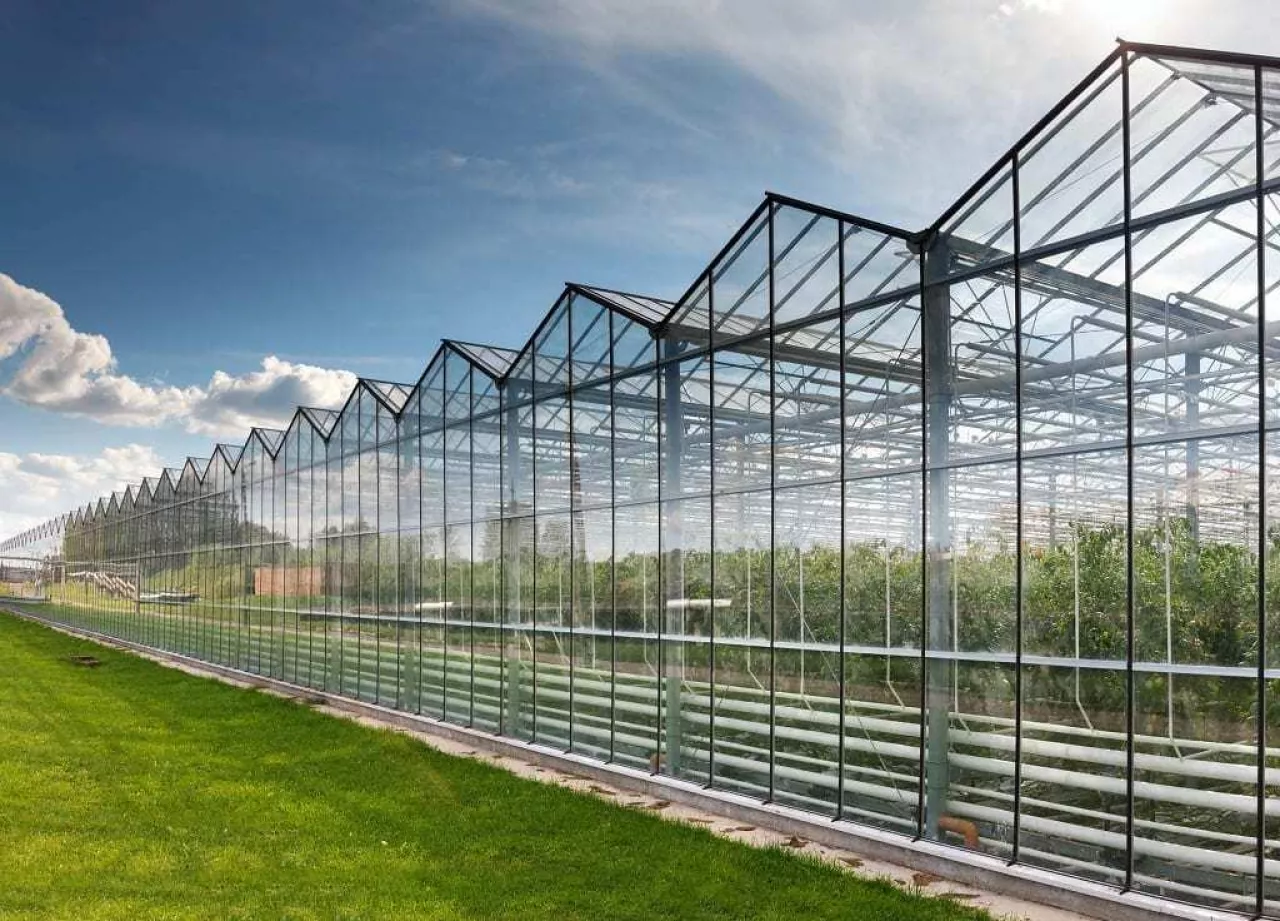 large glass greenhouse for growing tomatoes background sky