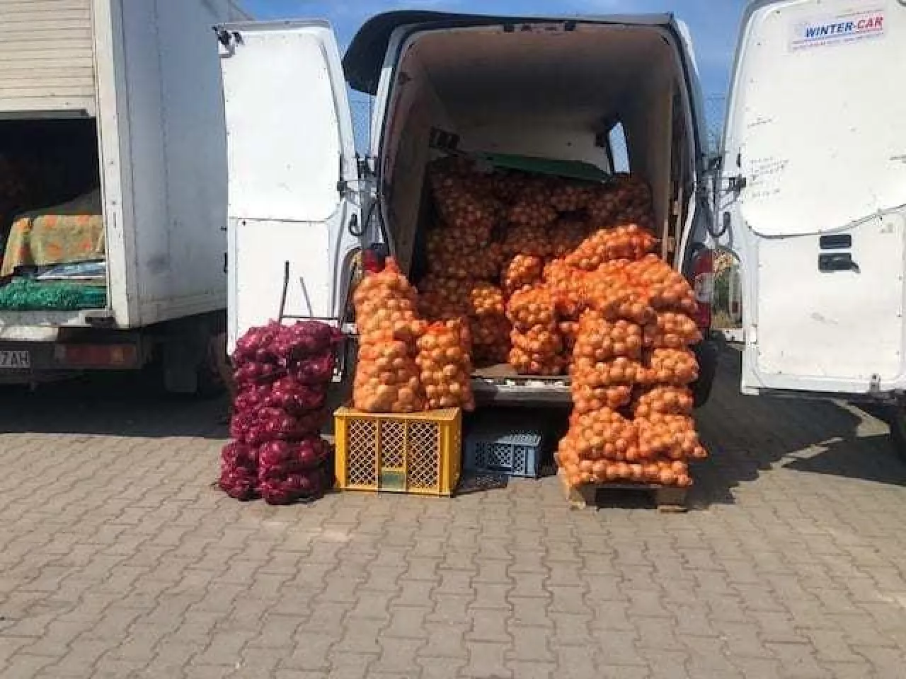 Ceny warzyw Rybitwy - sierpnień 2020