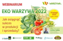Eko Warzywa