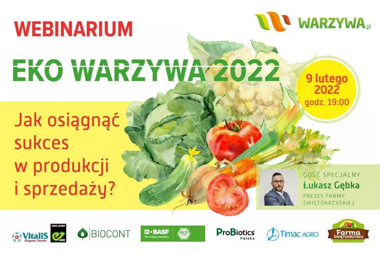Eko Warzywa