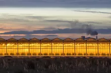 Illuminated industrial greenhouse with yellow lights and blue sky in Westland area Netherlands
