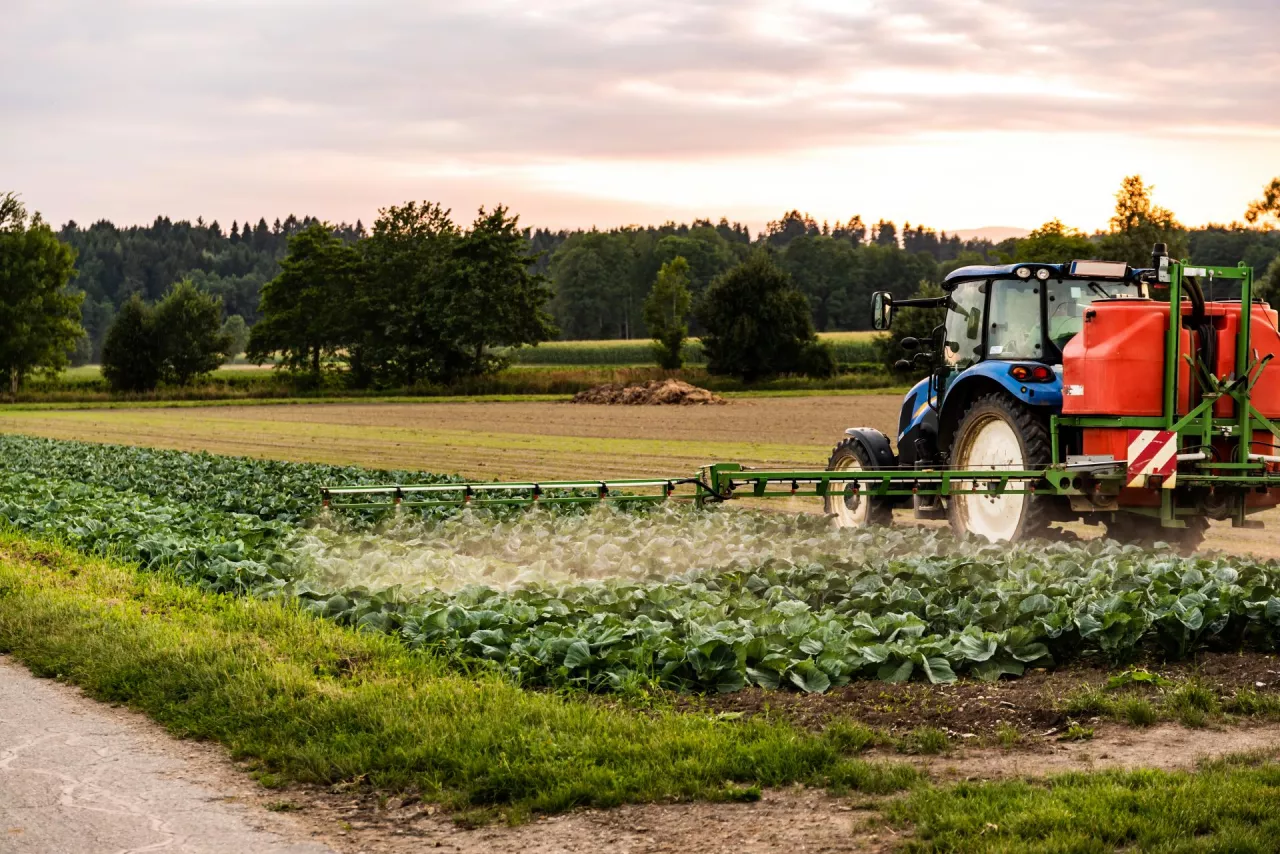 Tractor spraying pesticides on cabbage field. agriculture concept